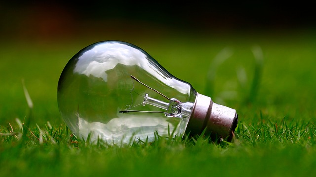 Utilisez des ampoules à économies d'énergie