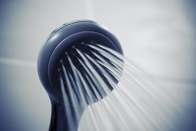 Régulateur de débit, pommeau de douche économe