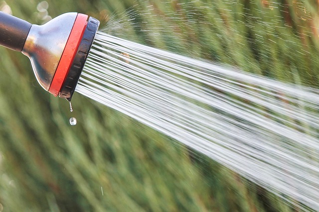 Installez un bac de récupération eau de pluie