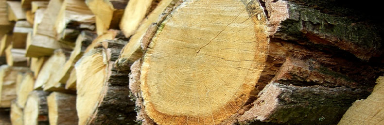Poêle à bois : Comment bien choisir son bois de chauffage ?