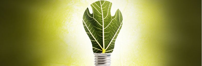 Comment bien choisir son fournisseur d'énergie verte ?