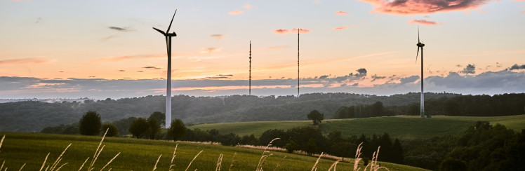 plan de sobriété énergétique 